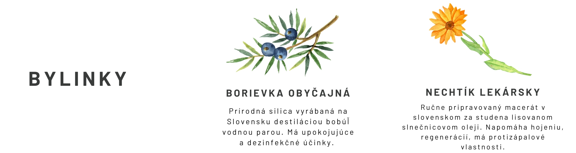 predný ok carousel 